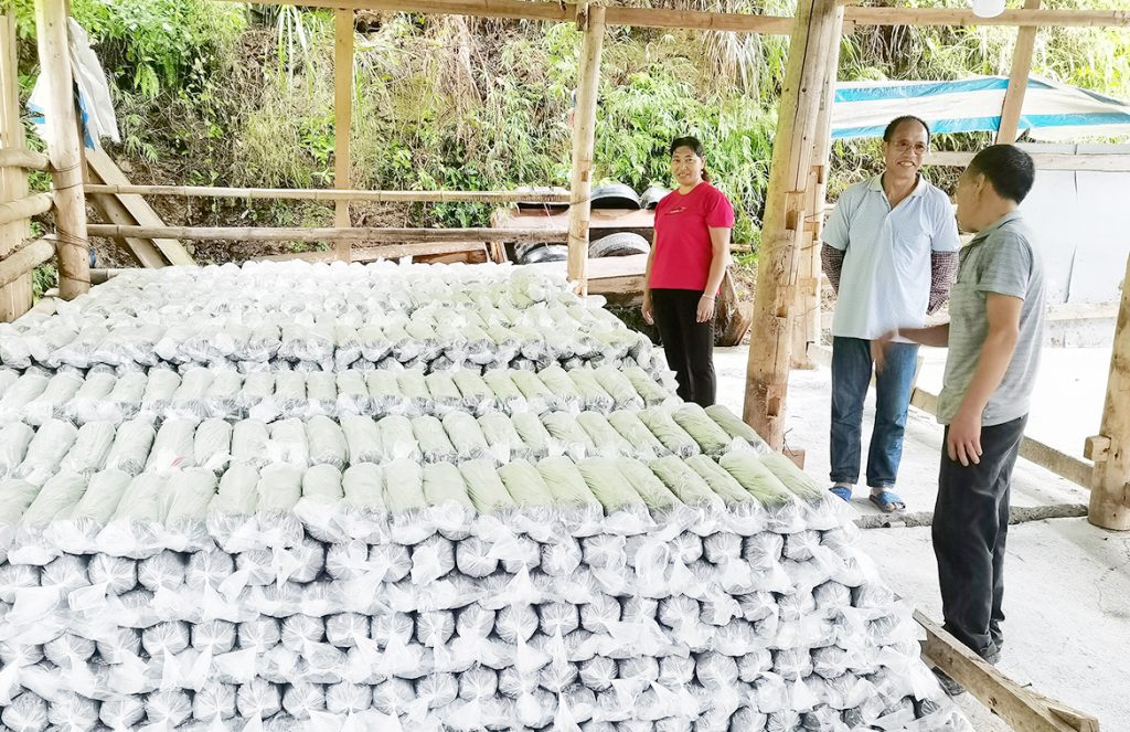 20200925poverty-4-1024x663 ÒÚÍòÏÈÉúMR¡¤(Öйú¼¯ÍÅ)¹Ù·½ÍøÕ¾