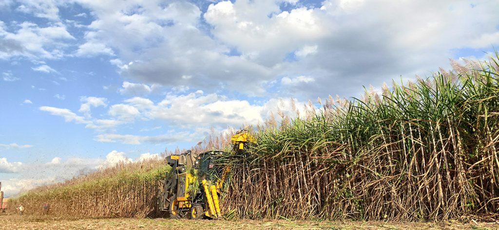 ��������MR��(�й�����)�ٷ���վ