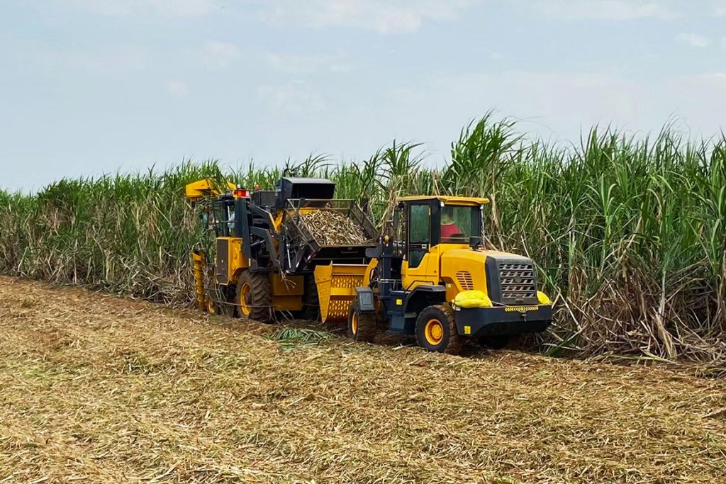 ��������MR��(�й�����)�ٷ���վ