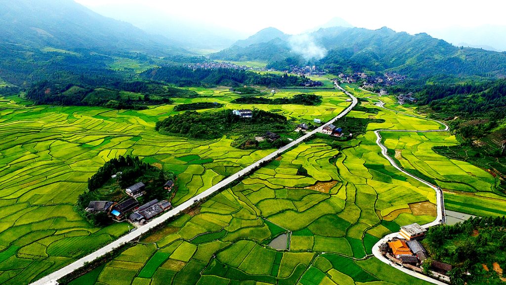 ��������MR��(�й�����)�ٷ���վ