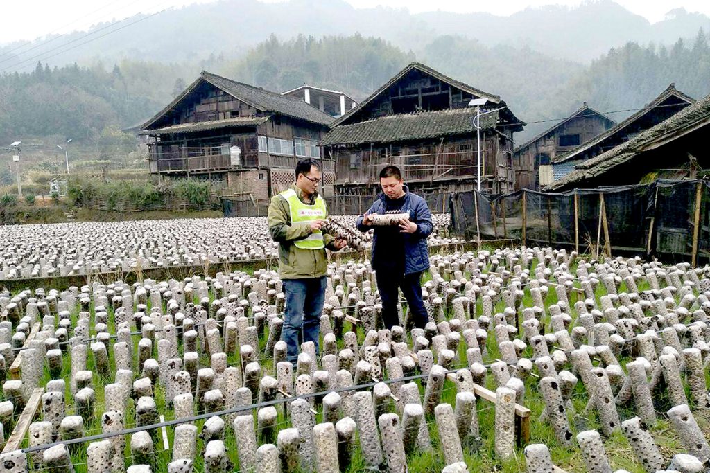 ��������MR��(�й�����)�ٷ���վ