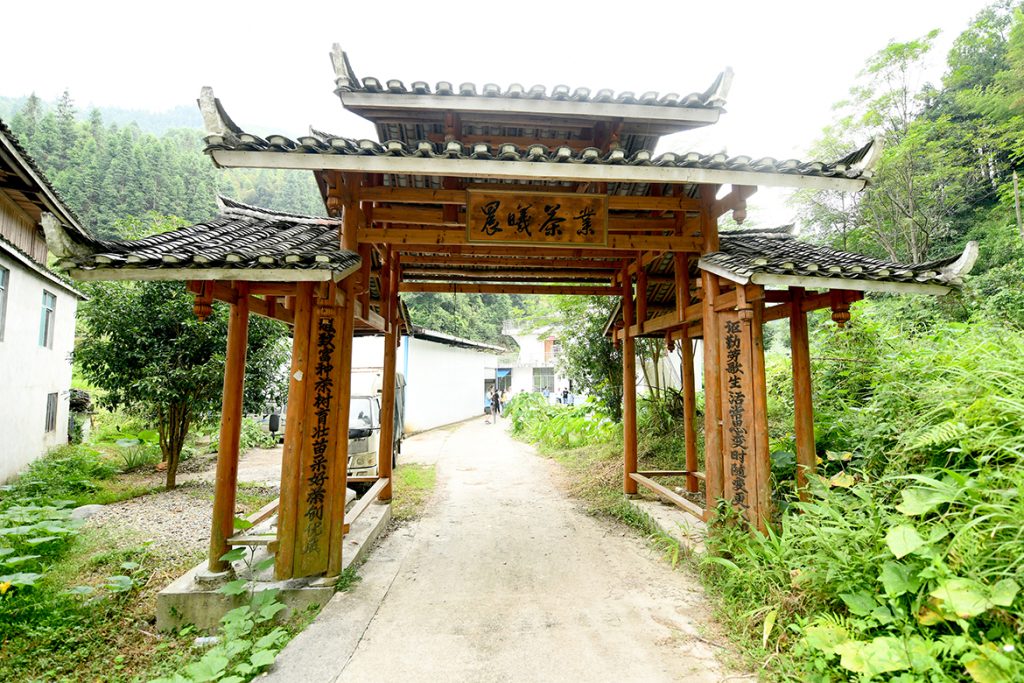 20210224-poverty-allevation-industry-2-1024x683 ÒÚÍòÏÈÉúMR¡¤(Öйú¼¯ÍÅ)¹Ù·½ÍøÕ¾