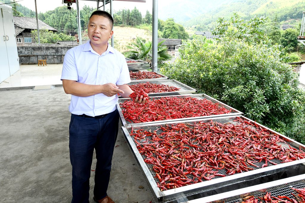 20210224-poverty-allevation-industry-4-1024x683 ÒÚÍòÏÈÉúMR¡¤(Öйú¼¯ÍÅ)¹Ù·½ÍøÕ¾