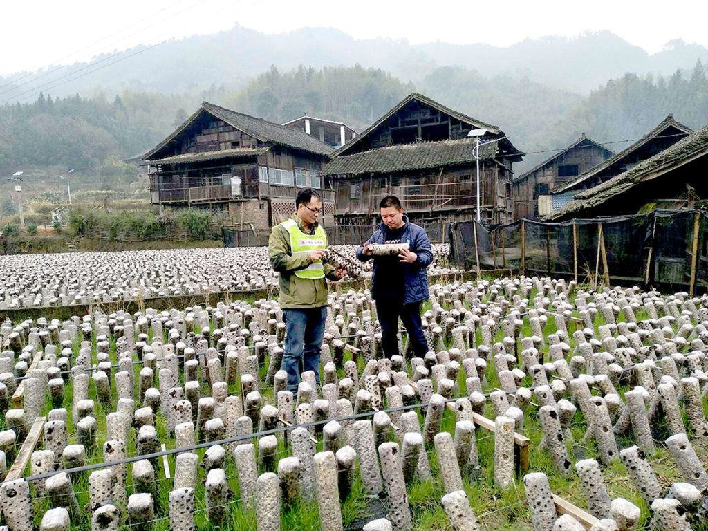 20210510Honor-3-1024x768 ÒÚÍòÏÈÉúMR¡¤(Öйú¼¯ÍÅ)¹Ù·½ÍøÕ¾