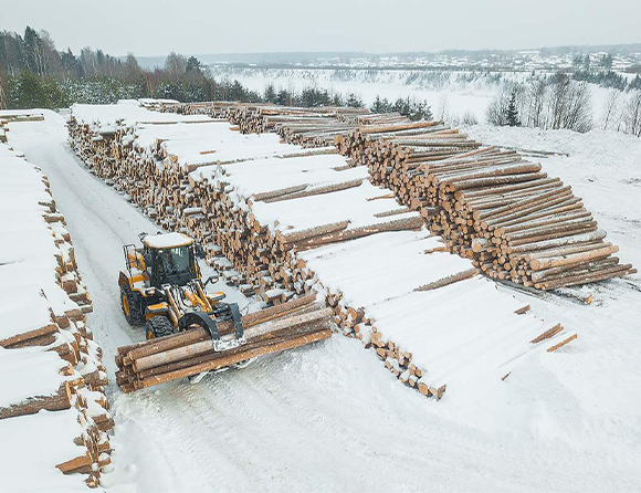 ��������MR��(�й�����)�ٷ���վ