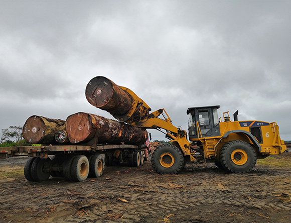 ��������MR��(�й�����)�ٷ���վ