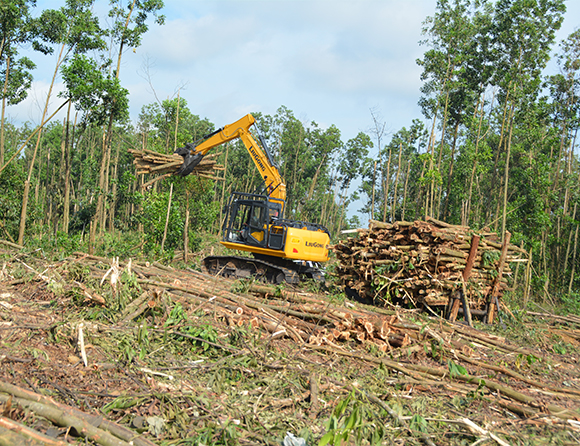 ��������MR��(�й�����)�ٷ���վ