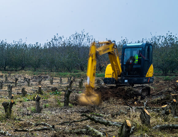 ��������MR��(�й�����)�ٷ���վ