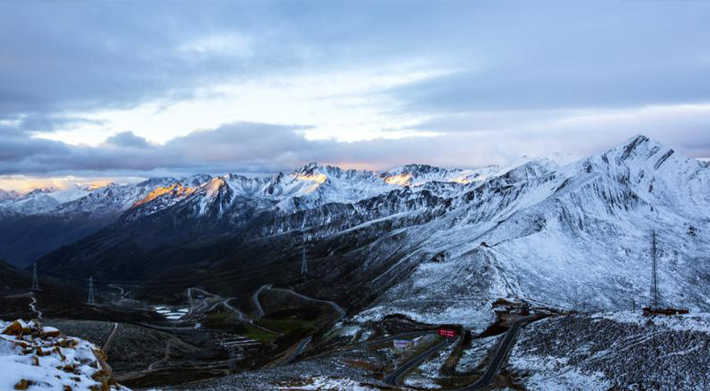 ��������MR��(�й�����)�ٷ���վ