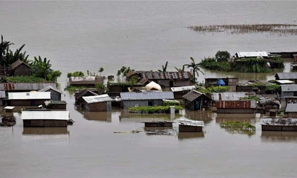 ��������MR��(�й�����)�ٷ���վ