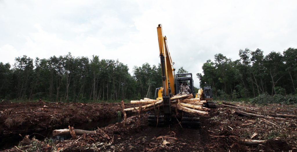 1021-8-1024x525 亿万先生MR·(中国集团)官方网站