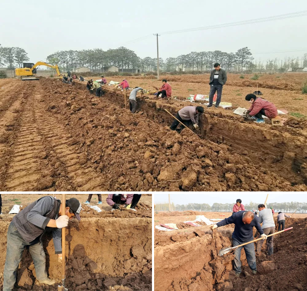 1202-4-3 亿万先生MR·(中国集团)官方网站