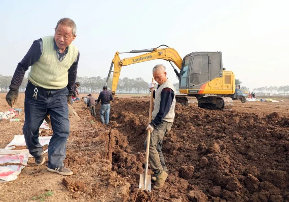 1202-4-4 亿万先生MR·(中国集团)官方网站