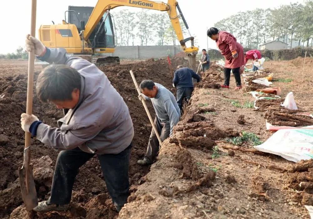 1202-4-5 亿万先生MR·(中国集团)官方网站