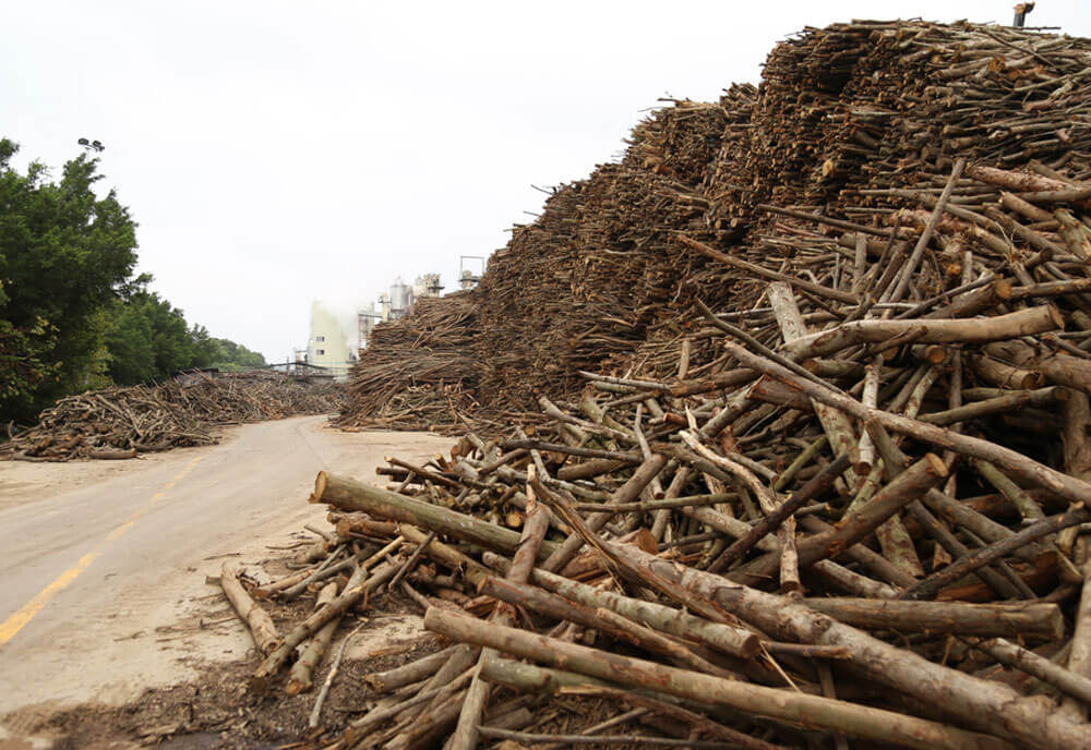 ��������MR��(�й�����)�ٷ���վ