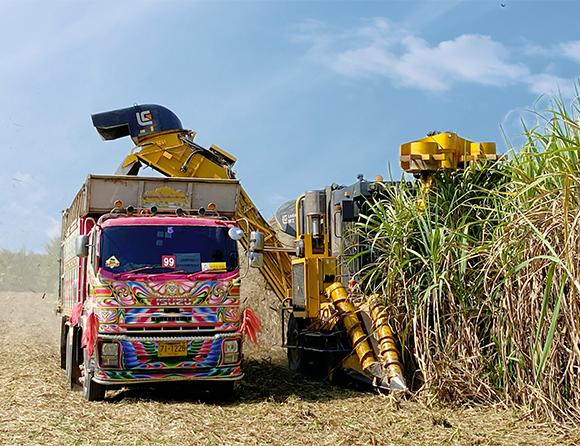 argiculture-6 亿万先生MR·(中国集团)官方网站