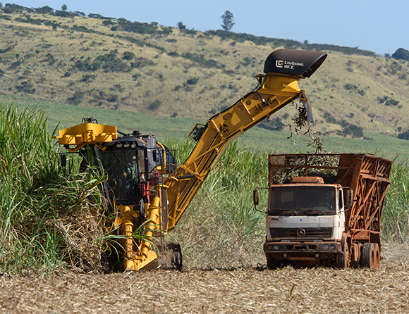 argiculture-7 亿万先生MR·(中国集团)官方网站